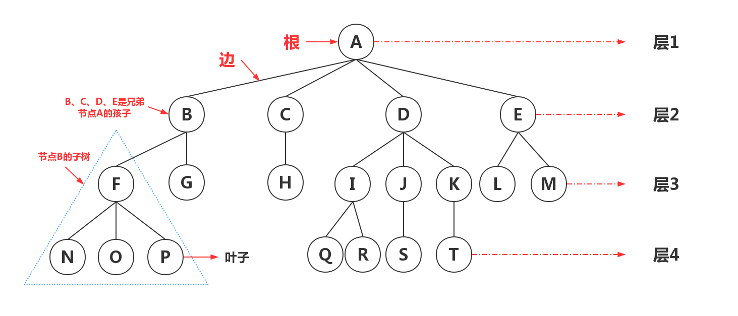 _images/带层树1.jpg